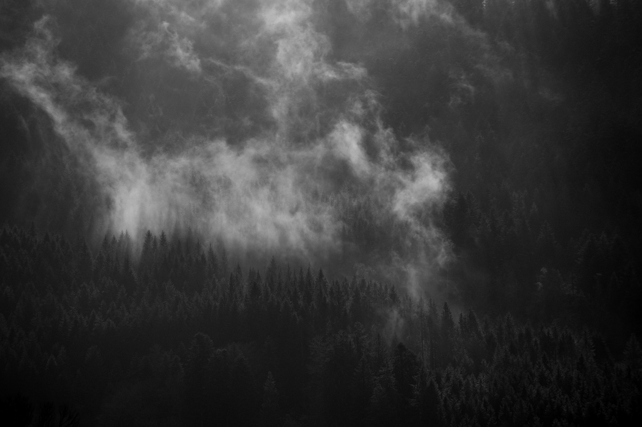 _R0A3164-vosges